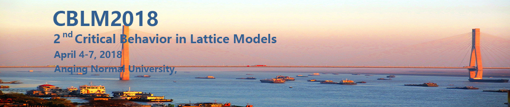 2nd Critical Behavior in Lattice Models (CBLM2018)